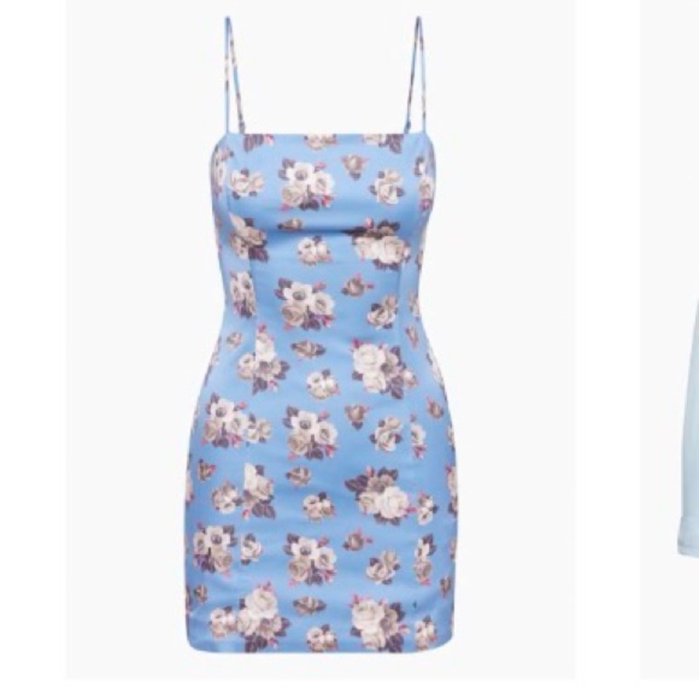 Aritzia Sunday Best Blue Floral Mini Dress